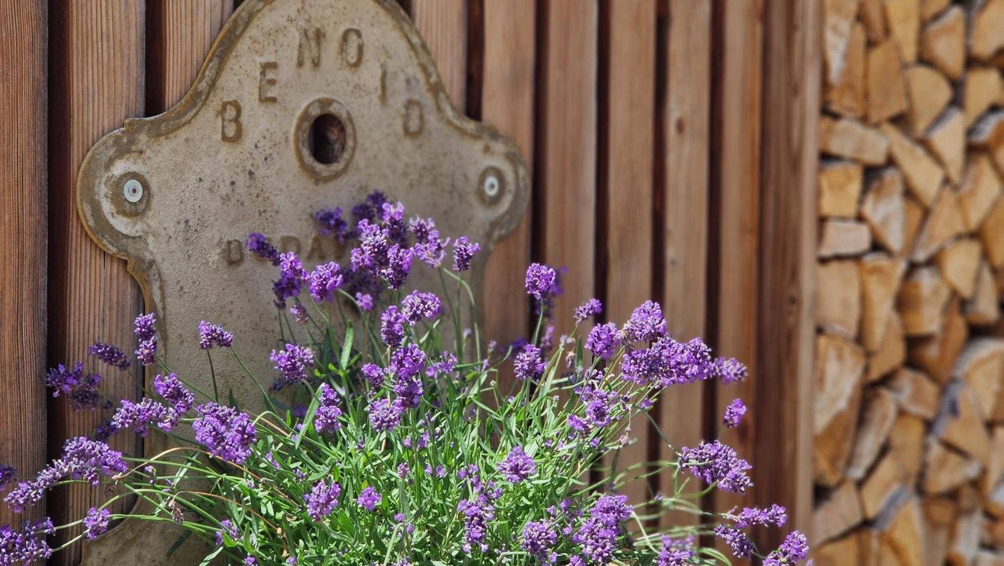 Nostalgie Bed & Breakfast Chraemerhus Curaglia 外观 照片